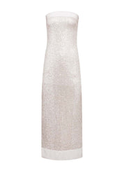 Strapless Silver Sequin Fitted Long Dress