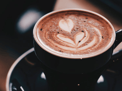 MOCAFE™ Organic Fair Trade™ Dominican Mocha Frappe (No Coffee) - BACKORDER - IBEV Concepts