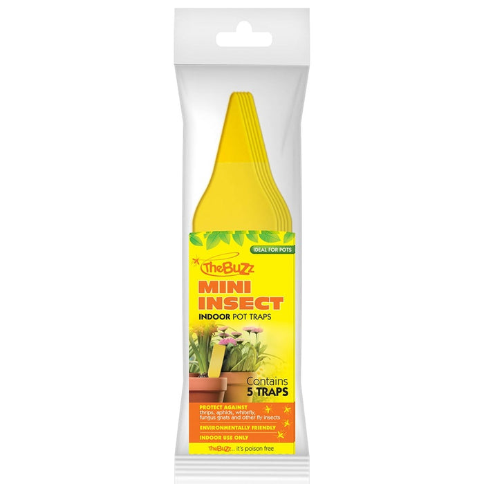 TheBuzz Mini Insect Indoor Traps 5-Pack
